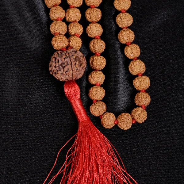 Premium_Rudraksha_Mala_Semi_Pathri_Beads_With_Guru_Bead
